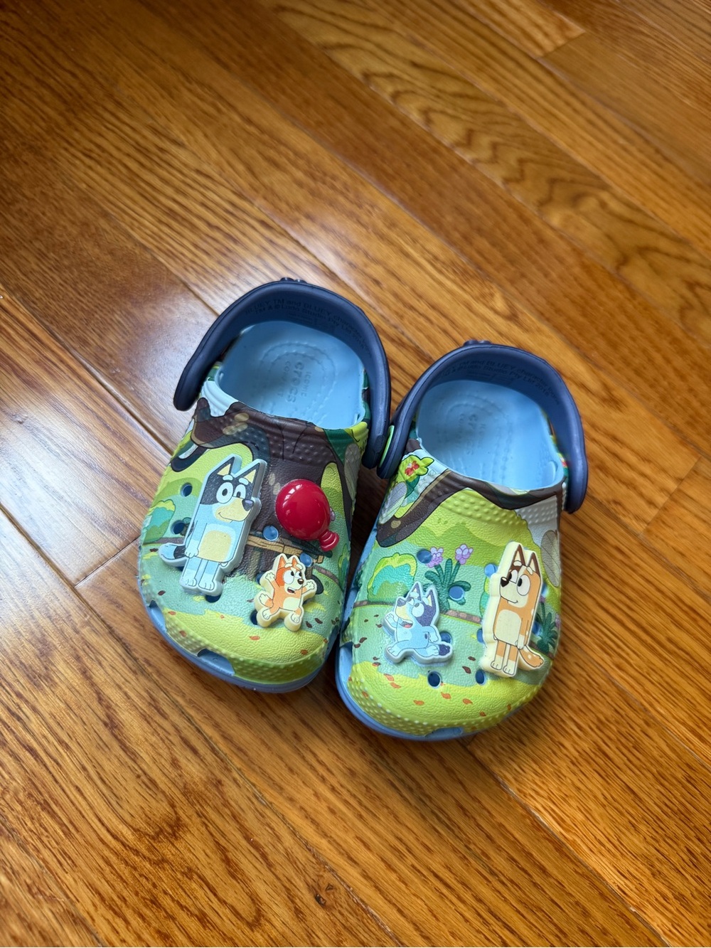 CROCS Kids' Bluey Character Clogs
